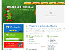 Tablet Screenshot of delaliosod.com